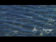 Lake Wakatipu Clear Water 3171